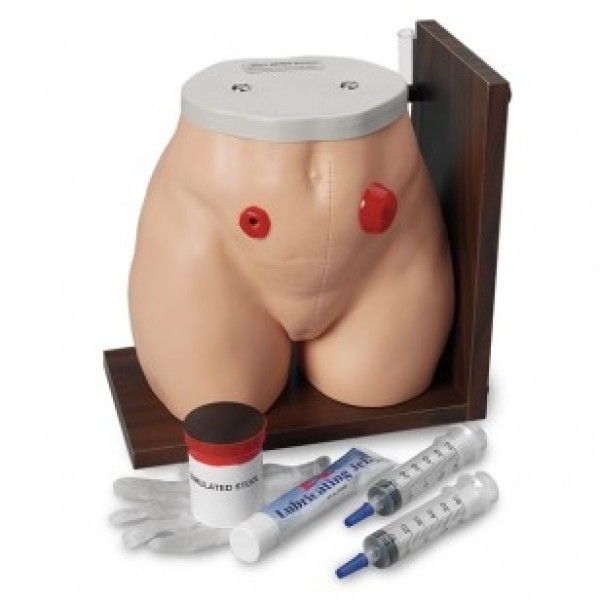 ESP Model Ostomy Care Simulator (ZLF-906-U)