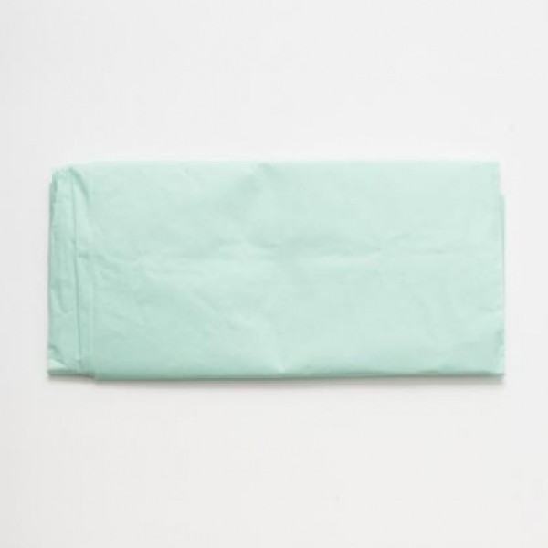 Rocialle Paper Plain Green 100 x 100cm Single Wrapped Sterile (Pack of 140) (RML126-208)