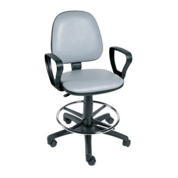 Sunflower Hygienic Gas Lift Chair with Arms and Foot Ring (Sun-CHA4)