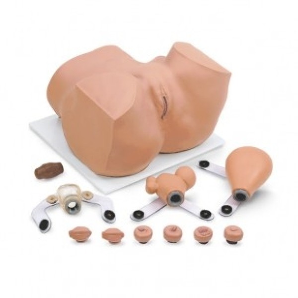 ESP Model Gynaecology Manikin (ZKK-945-E)