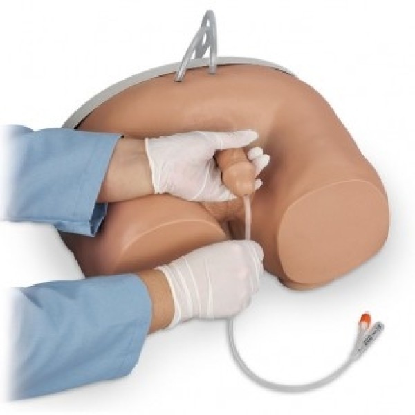 ESP Model Male Catheterisation Simulator (ZLF-855-U)