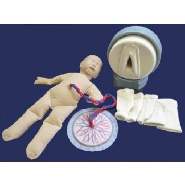 ESP Model Tube Aid Vaginal Examination and Delivery Simulator (ZKK-230-T)