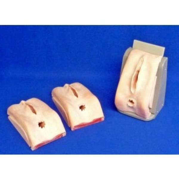 ESP Model Perineal Repair Simulator (ZKK-520-T)