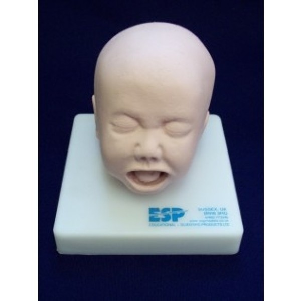 ESP Model Foetal Head Simulator (ZKK-422-P)