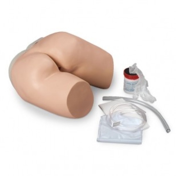 ESP Models Enema Administration Simulator (ZLF-957-U)