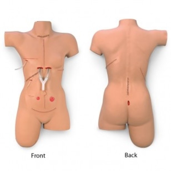 ESP Model Surgical Sally Bandaging Simulator (ZLF-929-U)