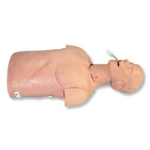 ESP Model Management Trainer Adult Torso (ZKJ-321-A)