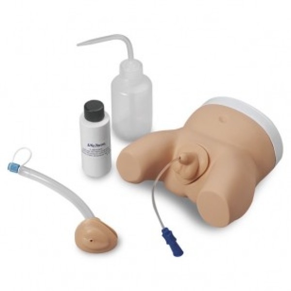 ESP Model Infant Male and Female Catheterisation Trainer (ZLF-035-U)