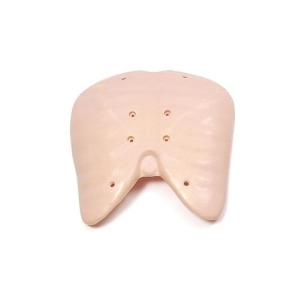 Laerdal RA Inner Part of Chest (110502)