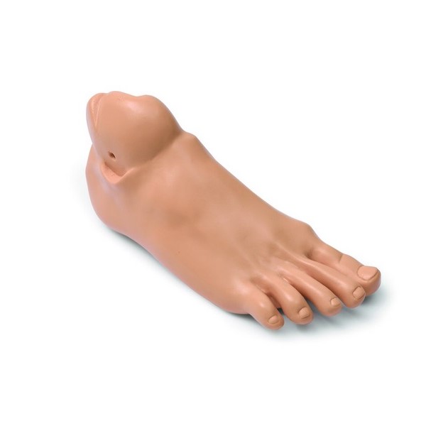 Laerdal Right Foot Adult (300-03150)