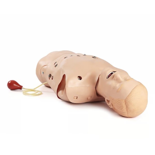 Laerdal Trainer 12 Lead-STD Manikin (260-20001)